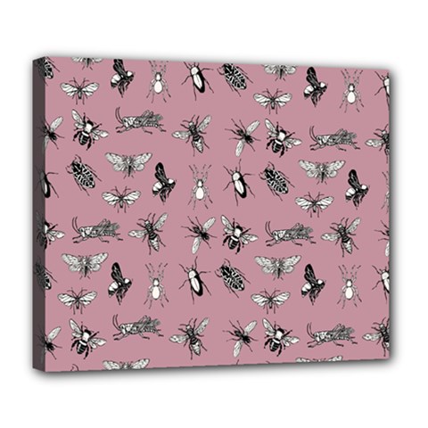 Insects pattern Deluxe Canvas 24  x 20  (Stretched)