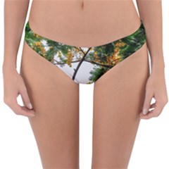 Tree Sunlight Forest Nature Landscape Sunrise Fog Reversible Hipster Bikini Bottoms by danenraven