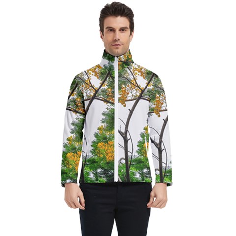 Tree Sunlight Forest Nature Landscape Sunrise Fog Men s Bomber Jacket by danenraven