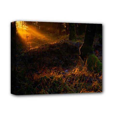 Sunset Forest Fall Sunbeams Nature Deluxe Canvas 14  X 11  (stretched) by danenraven