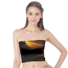 Sunset Forest Fall Sunbeams Nature Tube Top by danenraven