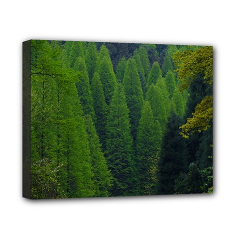 Forest Scenery Nature Trees Woods Canvas 10  X 8  (stretched) by danenraven