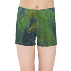 Forest Scenery Nature Trees Woods Kids  Sports Shorts by danenraven