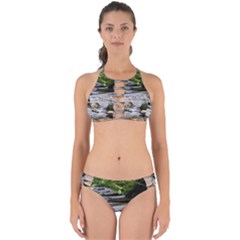 Bach Water Landscape Nature Forest Summer Sun Perfectly Cut Out Bikini Set by danenraven