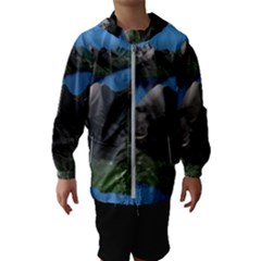 Mountain Landscape Rocky Rocks Geology Scenic Kids  Hooded Windbreaker by danenraven