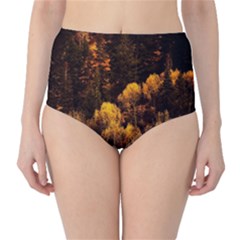 Autumn Fall Foliage Forest Trees Woods Nature Classic High-waist Bikini Bottoms by danenraven