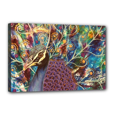 Peacock Mixed Media Bird Animal Canvas 18  X 12  (stretched) by danenraven