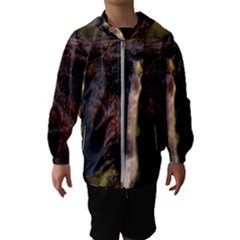 Waterfall Cascade Mountains Cliffs Northern Lights Kids  Hooded Windbreaker by danenraven