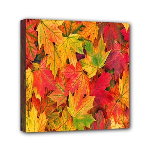 Autumn Background Maple Leaves Mini Canvas 6  X 6  (stretched) by artworkshop