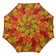 Autumn Background Maple Leaves Straight Umbrellas by artworkshop