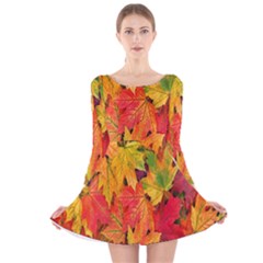 Autumn Background Maple Leaves Long Sleeve Velvet Skater Dress by artworkshop