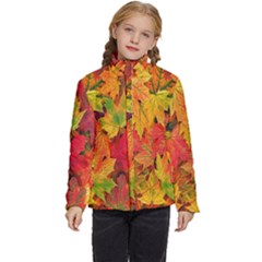 Autumn Background Maple Leaves Kids  Puffer Bubble Jacket Coat by artworkshop