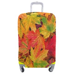 Autumn Background Maple Leaves Luggage Cover (medium) by artworkshop
