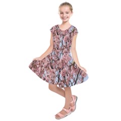 Japanese Sakura Background Kids  Short Sleeve Dress by artworkshop