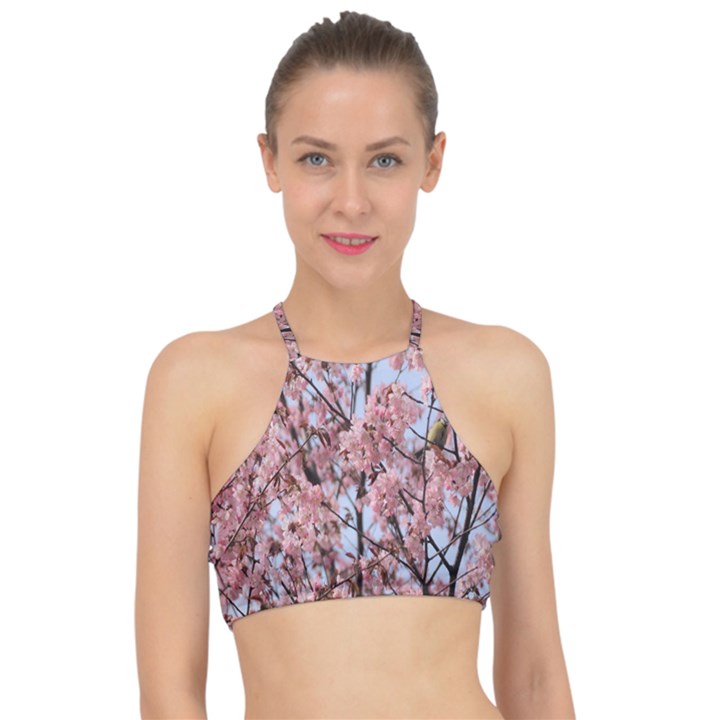 Japanese Sakura Background Racer Front Bikini Top