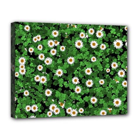 Daisies Clovers Lawn Digital Drawing Background Canvas 14  X 11  (stretched)