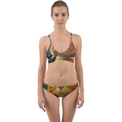 Cute Cat Cat Feline 3d Wrap Around Bikini Set by Pakemis