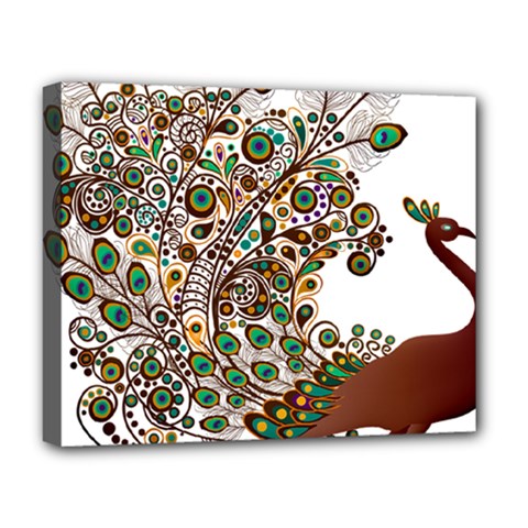 Peacock Graceful Bird Animal Deluxe Canvas 20  X 16  (stretched) by artworkshop