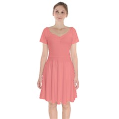 Color Tea Rose Short Sleeve Bardot Dress