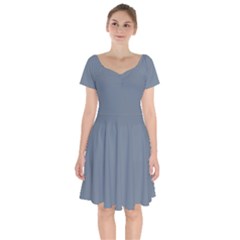 Color Slate Grey Short Sleeve Bardot Dress