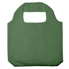 Color Artichoke Green Premium Foldable Grocery Recycle Bag