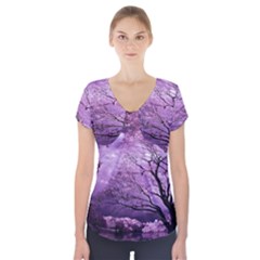 Violet Nature Short Sleeve Front Detail Top