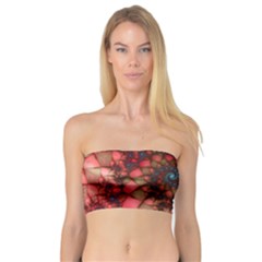 Fractals Abstract Art Red Spiral Bandeau Top