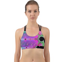 Fractal Fractals Abstract Art Back Web Sports Bra