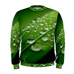 Green Water Leaf Men s Sweatshirt by artworkshop