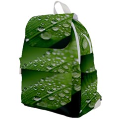 Green Water Leaf Top Flap Backpack