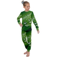 Green Water Leaf Kids  Long Sleeve Set  by artworkshop