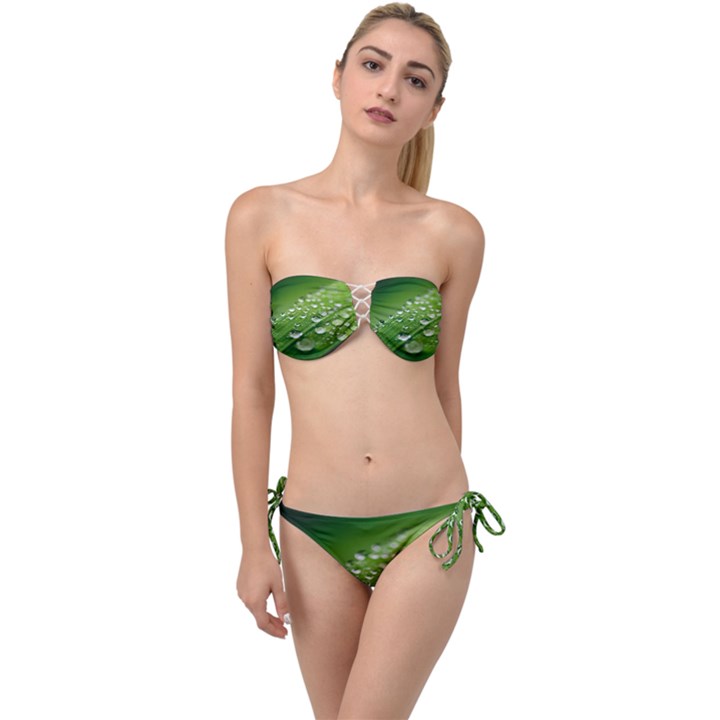 Green Water Leaf Twist Bandeau Bikini Set