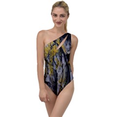 Rock Wall Crevices  To One Side Swimsuit by artworkshop