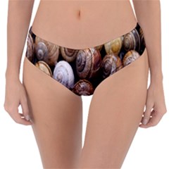 Snail Shells Pattern Arianta Arbustorum Reversible Classic Bikini Bottoms by artworkshop