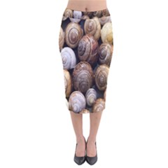 Snail Shells Pattern Arianta Arbustorum Velvet Midi Pencil Skirt