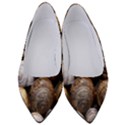 Snail Shells Pattern Arianta Arbustorum Women s Low Heels View1