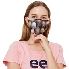 Snail Shells Pattern Arianta Arbustorum Fitted Cloth Face Mask (adult) by artworkshop