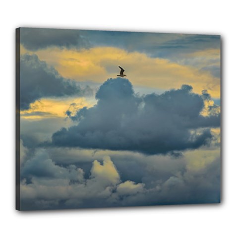 Bird Flying Over Stormy Sky Canvas 24  X 20  (stretched) by dflcprintsclothing