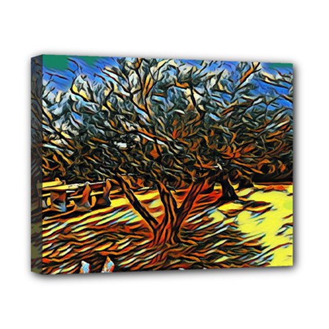 Colorful Verona Olive Tree Canvas 10  X 8  (stretched) by ConteMonfrey