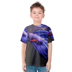 Betta Fish Photo And Wallpaper Cute Betta Fish Pictures Kids  Cotton Tee