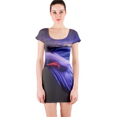 Betta Fish Photo And Wallpaper Cute Betta Fish Pictures Short Sleeve Bodycon Dress