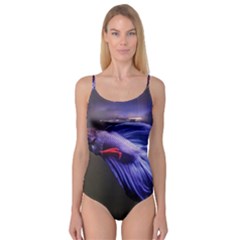 Betta Fish Photo And Wallpaper Cute Betta Fish Pictures Camisole Leotard 