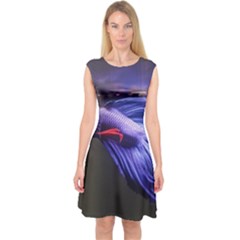 Betta Fish Photo And Wallpaper Cute Betta Fish Pictures Capsleeve Midi Dress