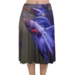 Betta Fish Photo And Wallpaper Cute Betta Fish Pictures Velvet Flared Midi Skirt