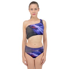 Betta Fish Photo And Wallpaper Cute Betta Fish Pictures Spliced Up Two Piece Swimsuit