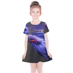 Betta Fish Photo And Wallpaper Cute Betta Fish Pictures Kids  Simple Cotton Dress