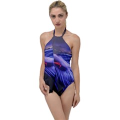 Betta Fish Photo And Wallpaper Cute Betta Fish Pictures Go with the Flow One Piece Swimsuit