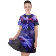 Betta Fish Photo And Wallpaper Cute Betta Fish Pictures Short Sleeve Shoulder Cut Out Dress 