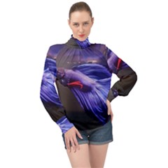Betta Fish Photo And Wallpaper Cute Betta Fish Pictures High Neck Long Sleeve Chiffon Top