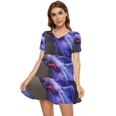 Betta Fish Photo And Wallpaper Cute Betta Fish Pictures Tiered Short Sleeve Babydoll Dress